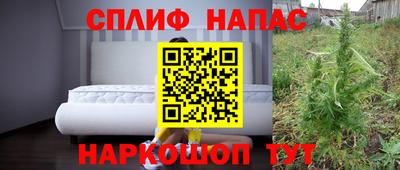 ешки Моздок