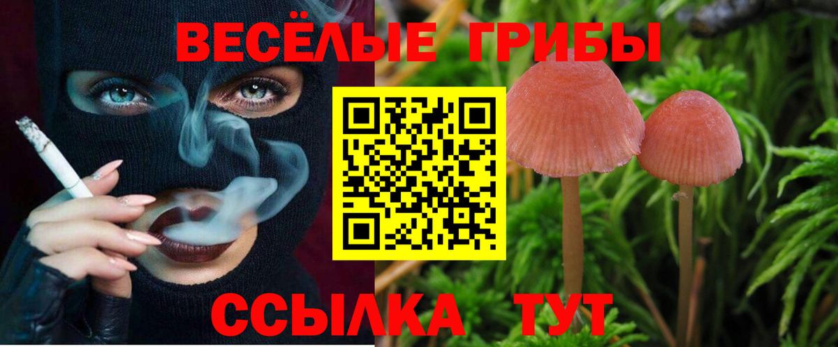 Галлюциногенные грибы мицелий  Псилоцибиновые грибы Psilocybine cubensis  Черногорск  где купить наркоту  Вход с VPN 