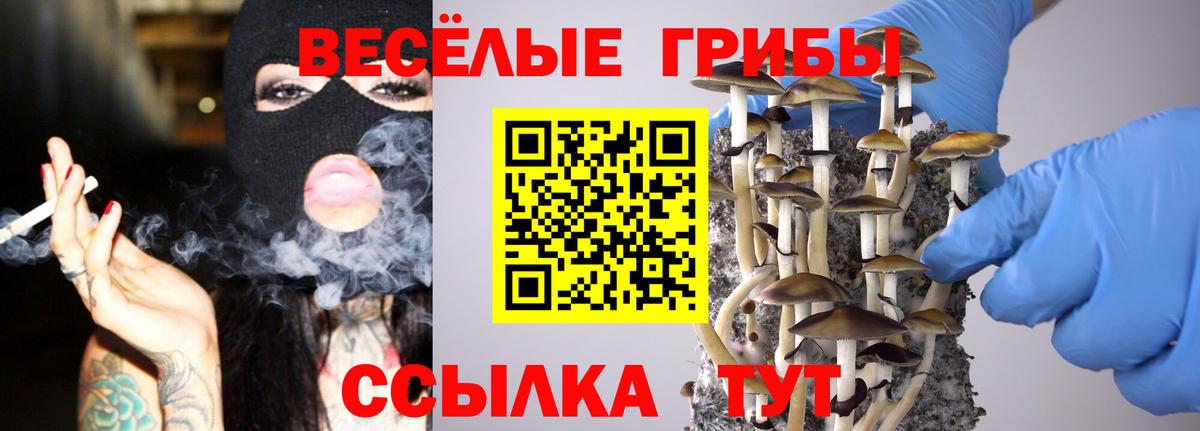 Псилоцибиновые грибы Magic Shrooms Черногорск